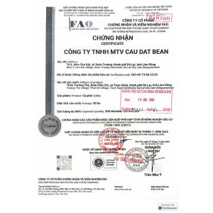 TCB cà phê vàng Arabica Yellow Bourbon